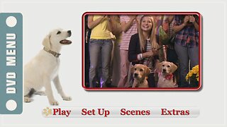 Marley & Me: The Puppy Years - DVD Menu