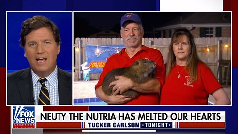TUCKER CARLSON-4/13/23-Denny Lacoste-NEUTY THE NUTRIA HAS MELTED OUR HEARTS