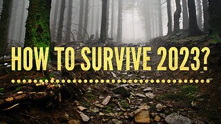 How to Survive 2023…