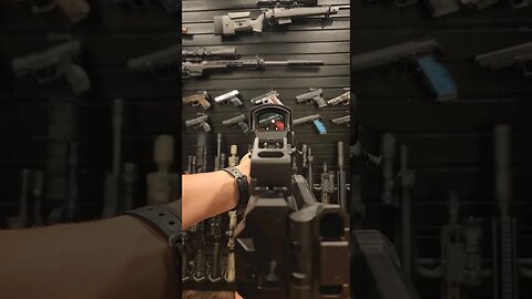 What a Red Dot Looks Like on a Rifle - POV