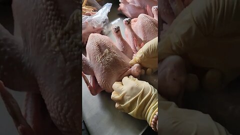 Processing Meat Birds