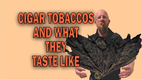 Cigar Tobaccos and What They Taste Like