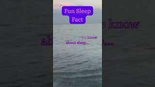 Beach Sleep Secret? 😴🏖️ | Surprising Fact Revealed! @AmbientNoiseCo. #beachvibes #facts #ocean