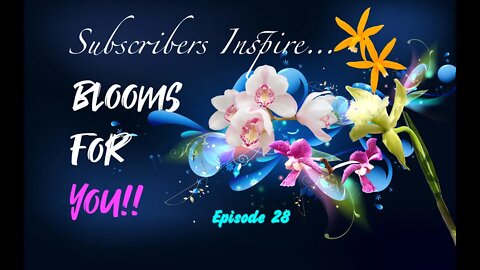 Subscribers Insipire | You color my life | Blooms for YOU! Episode 28 🌸🌺🌼💐 #orchidsinbloom