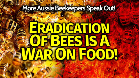 Stop The Bee Poisoning! More Beekeepers Speak Out Against Fipronil & NSW's Senseless Bee Genocide