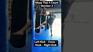 Muay Thai 4 Count Number 3