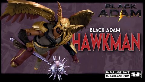 McFarlane Toys DC Multiverse Black Adam Hawkman Action Figure @The Review Spot