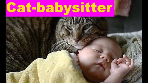 Cat-babysitter. Funny Animal Videos.