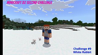 Minecraft 30 Second Challenge - Challenge 9 - White Rabbit