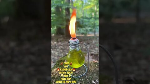 🪔 Lamp 🪔 for 🔥illumination🔥 from a burnt 💡bulb💡 filled with edible oil and a wire