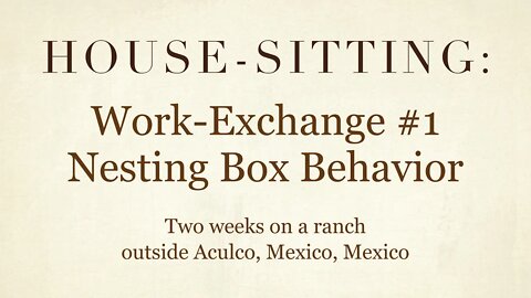 House-Sitting » Work-Exchange #1: Nesting Box Behavior » Two weeks on a ranch, near Aculco, Mexico