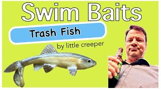 Trash Fish by Little Creeper Baits / Stealth Swimmer by Imakatsu