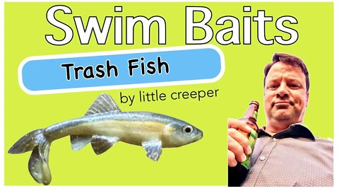 Trash Fish by Little Creeper Baits / Stealth Swimmer by Imakatsu