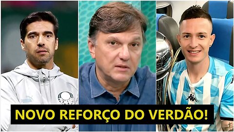 "ESSA É UMA BOA CONTRATAÇÃO! Mas o Palmeiras PRECISA..." NOVO REFORÇO é ANALISADO por Mauro Cezar!