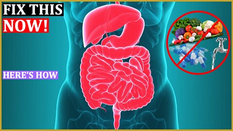 E62 - Here's How To Solve ALL Gut Problems