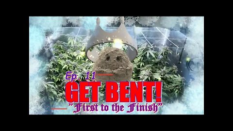 GET BENT! Ep.11 "First to the Finish" #SOUTHBAYGENETICS #SPIDERFARMER #ROYALKUSH7BX2 ✂👸👑🍍❄🔥💨🔨 Day 54