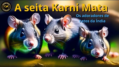 CONHEÇA A SEITA KARNI MATA - Os adoradores de ratos da Índia