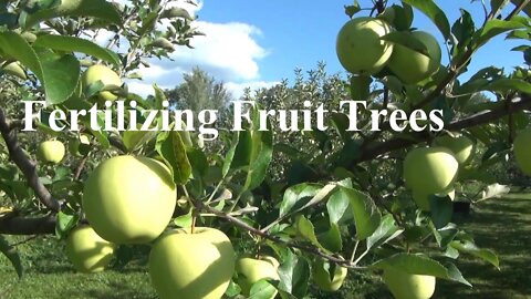 How and When to Fertilize Fruit Trees