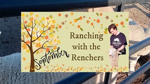 Ranching with the Renchers