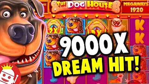 Daily Biggest wins & Funny Moments Online Casino's 87