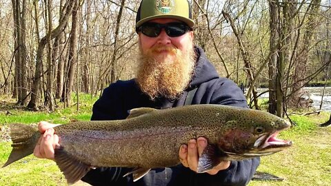 Late Spring Steelhead Fishing Mid Michigan / Last Steelhead Of The Season / Float Fishing Steelhead