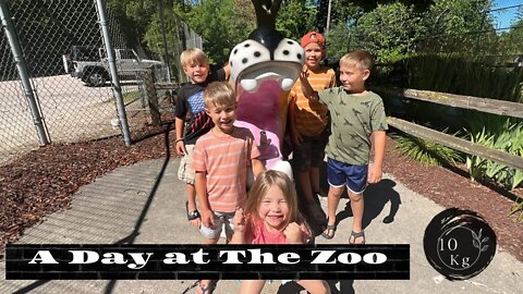 A Day at The Zoo! 🐾 | Cook with Evelyn | Painting is Never Going to Get Done | Mom of 10