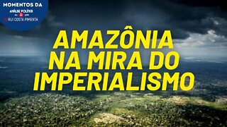 O imperialismo quer a Amazônia brasileira | Momentos da Análise Política na TV 247
