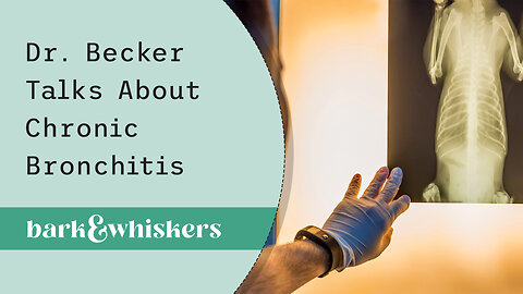 Dr. Becker Talks About Chronic Bronchitis