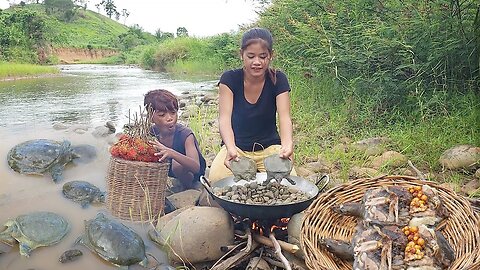 Rambutan fruit and Turtle egg for survival food - Turtle and egg cooking in Stone for dinner