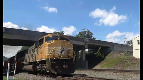 1800 the yellow bonnet & a coal train