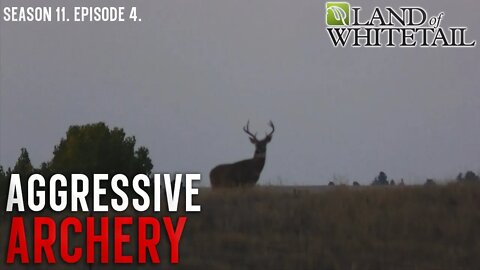 Make the Deer Come to You | Land of Whitetail