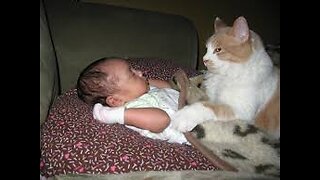 Beautiful baby and cute cat