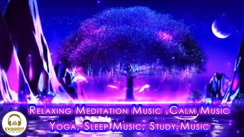 Relaxing Meditation Music , Calm Music, Meditation Music, Yoga, Sleep Music, Study Music,