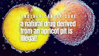 Another Cure for Cancer - a natural drug derived from an apricot pit is illegal!