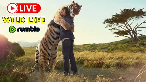 🐾Documentary🎬 Wild Life: Full HD 1080 Nature Documentary | Rumble Nature #Nature #WildLife