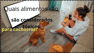 Quais alimentos são considerados tóxicos para cachorros.