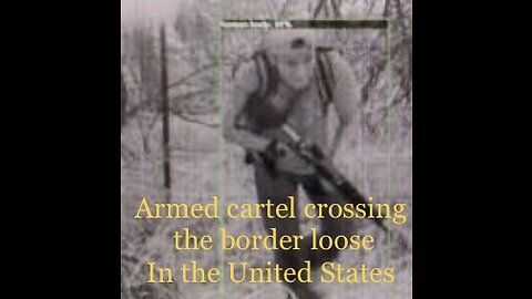 Insurgents crossing into the U.S.