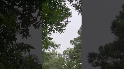 Loud thunder clap after lightning form storm in Monticello Arkansas on Sunday July 31st 2022 #arwx