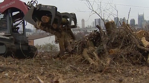 Trees Removed From Nashville's Fort Negley