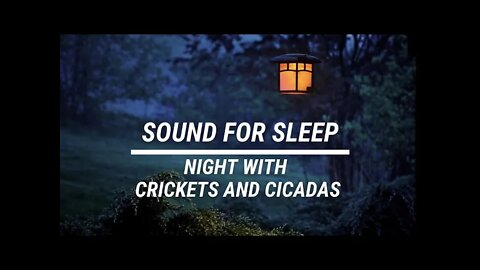 Sound for sleep Night with Cricked and Cicadas 3 hours