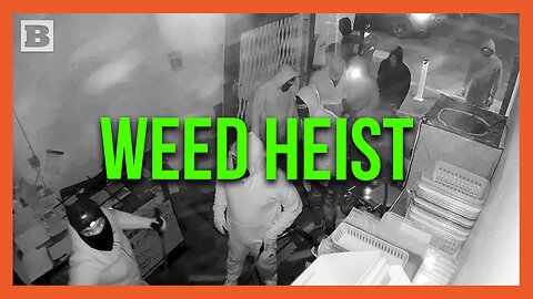 Gang of Robbers Plow SUV into Marijuana Dispensary, Steal Weed Products