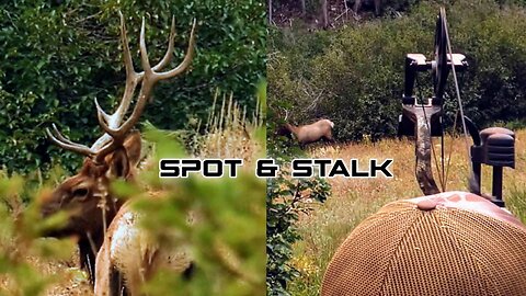 Six Day Backcountry Archery BULL ELK HUNT Idaho Public Land OTC "LIVE Full DIE Empty" (VLOG)