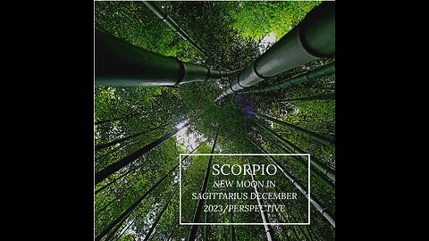 SCORPIO- "THAT NOVELTY SHOULD BE A STAPLE" NEW MOON, DECEMBER 2023.