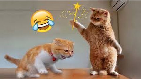 Best Funny Animal Videos Of🤣 The 2023 Funniest Cats And Dogs Videos🙀😍 Part-3