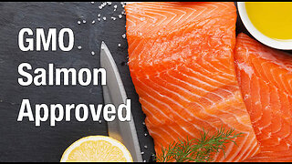 FORMER FDA SAYS SALMON IS KILLING YOU, THE MERCURY COMING FROM THE FISH & SALMON THEY MAKE A MODIFIED VERSION OF CREATED IN CANADA!!🕎 Ezekiel 4;10-16 “Even thus shall the children of Israel eat their defiled bread among the Gentiles”