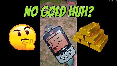 Is The Minelab X-Terra Pro Capable of Finding Gold? Huh?