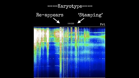 Schumann Resonance - Genetic Karyotype Reasserts, Mind Control Offered