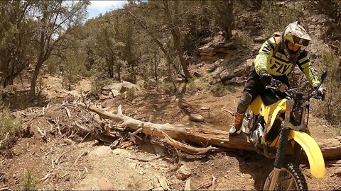 Suzuki DRZ400E on some Singletrack