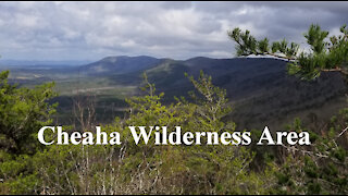 Cheaha Wilderness Area: Chinnabee, Skyway, Pinhoti Loop