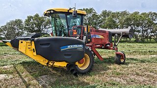 Alfalfa is Decent, Grass Not So Much - New Holland H8040 & 18HS Haybine